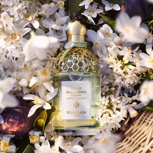 GUERLAIN Aqua Allegoria Harvest - Nerolia Vétiver - Eau de GUERLAIN Aqua Allegoria Harvest - Nerolia Vétiver - Eau de